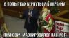 Почка 'Святого Николая' (Янукович маскировался) Янукович маскировался