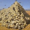 ЮДОЛЬ 3. Сарай – столица великокняжеской Руси