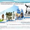 Инструменты формационного закона