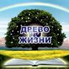 Перспективы светлые. О совместном хозяйственном освоении Южных Курил