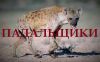 Падальщики