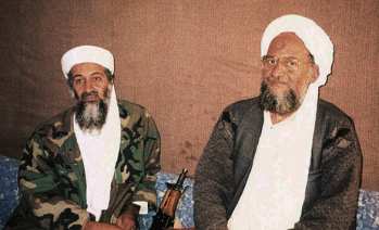 Террор Террор